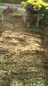 201011131027001.jpg