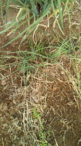 201011131030001.jpg